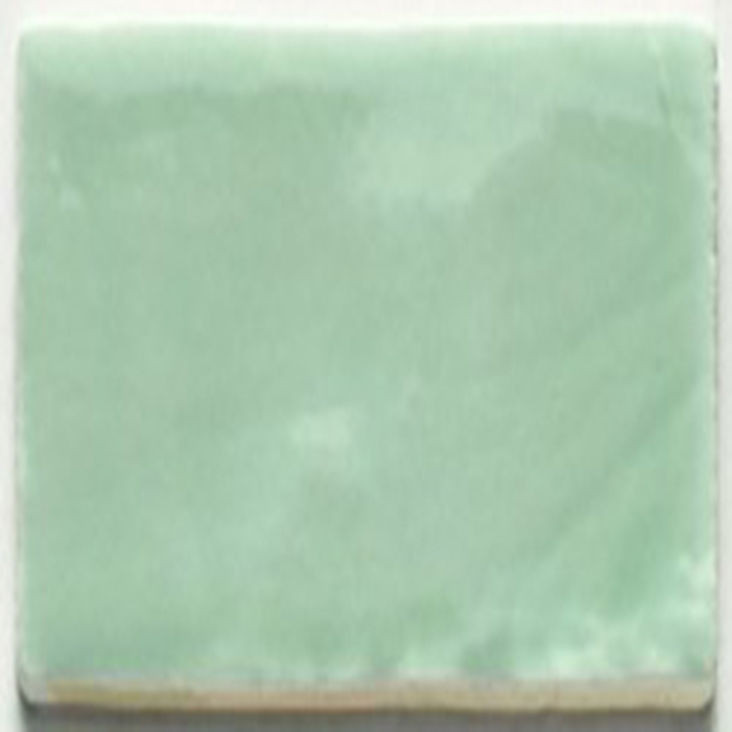 Spaans witje MINT 13×13 handvorm