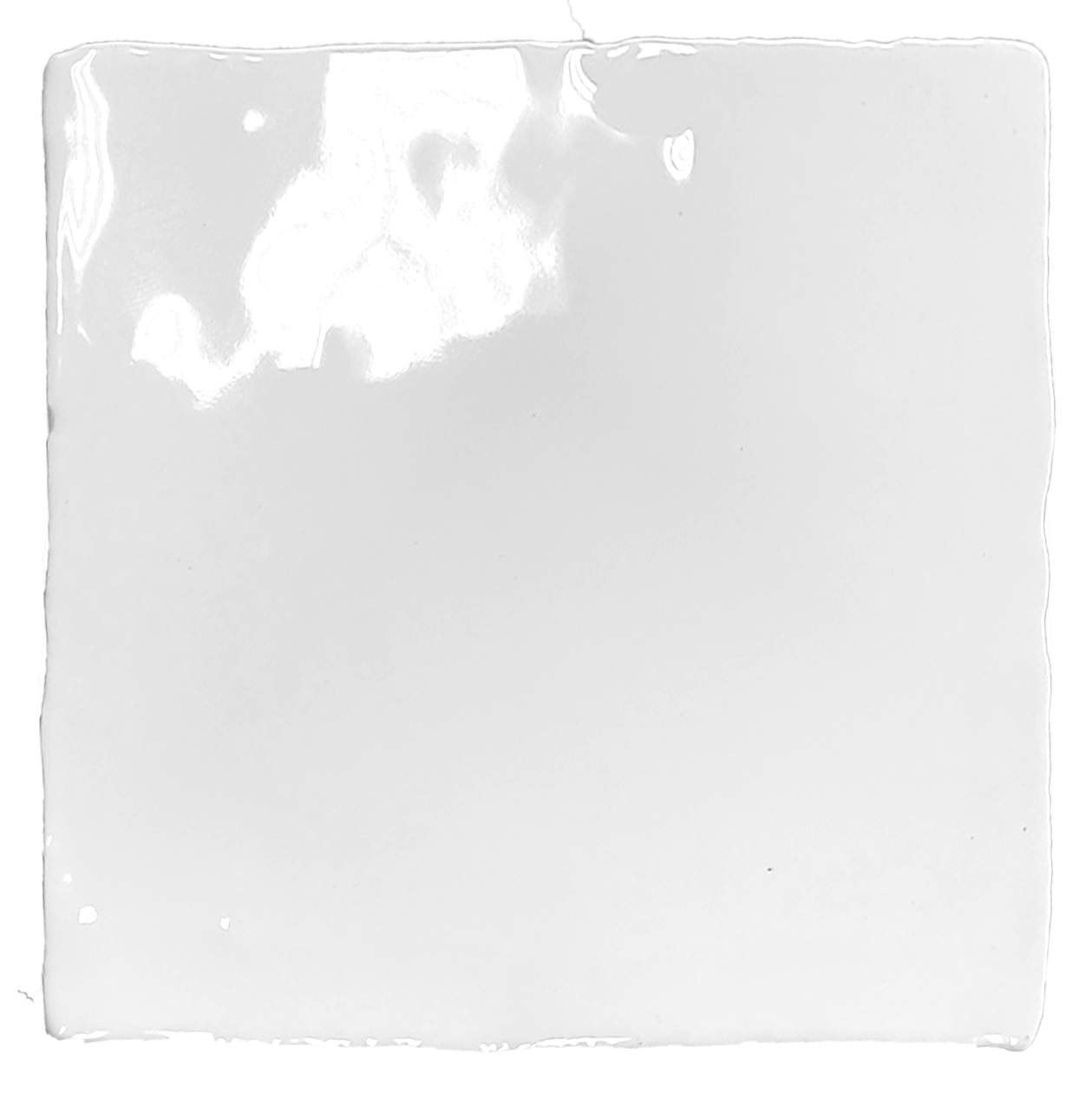 Spaans witje  White glans 10×10