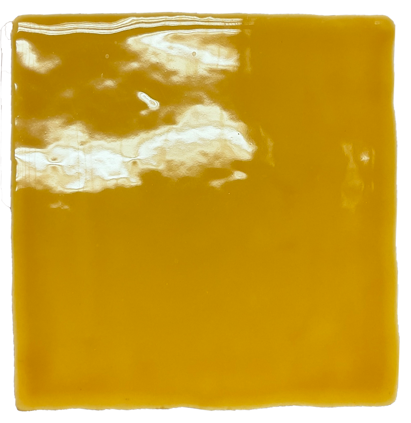 Spaans witje  Ocre 10×10